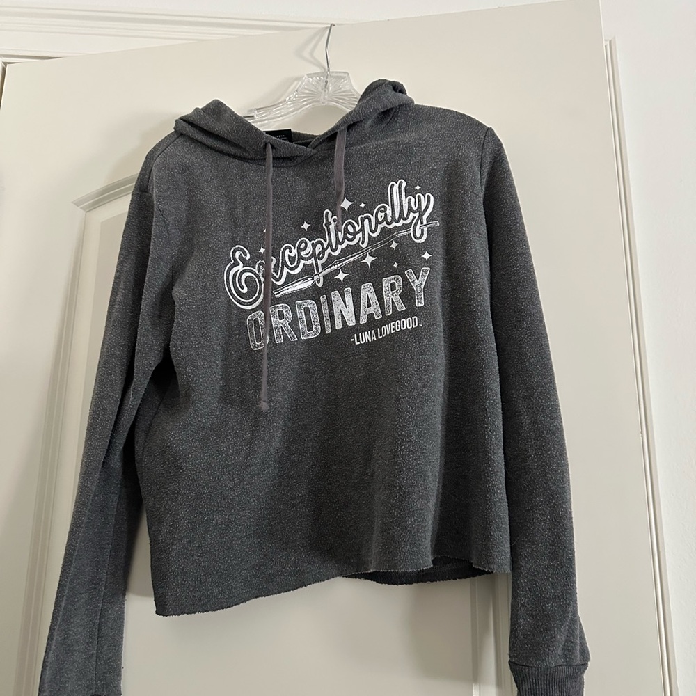 Gray Exceptionally Ordinary Hoodie